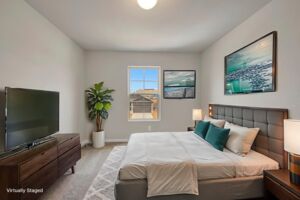 Virtual Representation