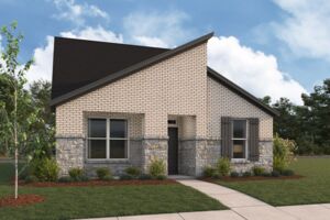 3101 Elevation Orchid