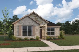 3105 Elevation Camellia