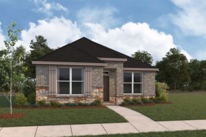 3105 Elevation Camellia