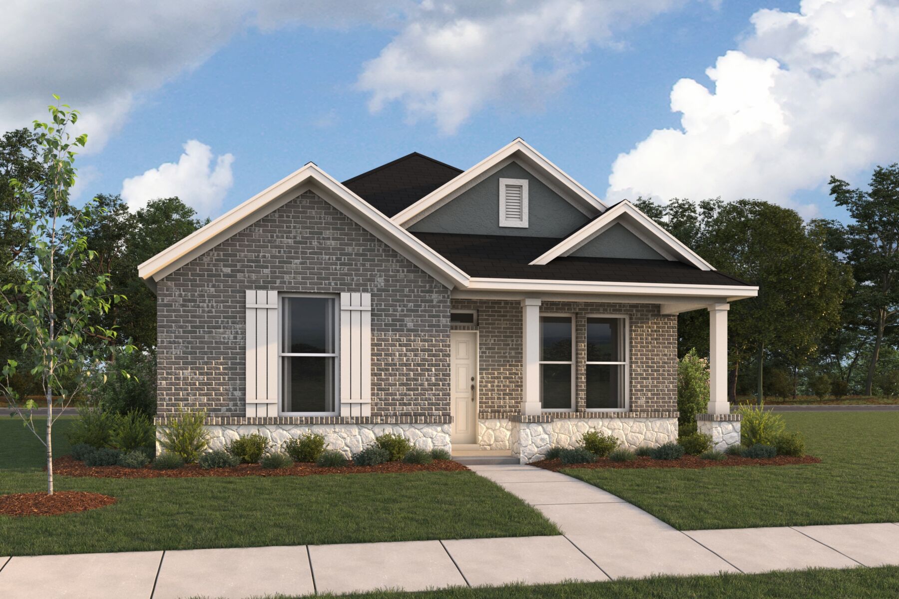 3105 Elevation Camellia