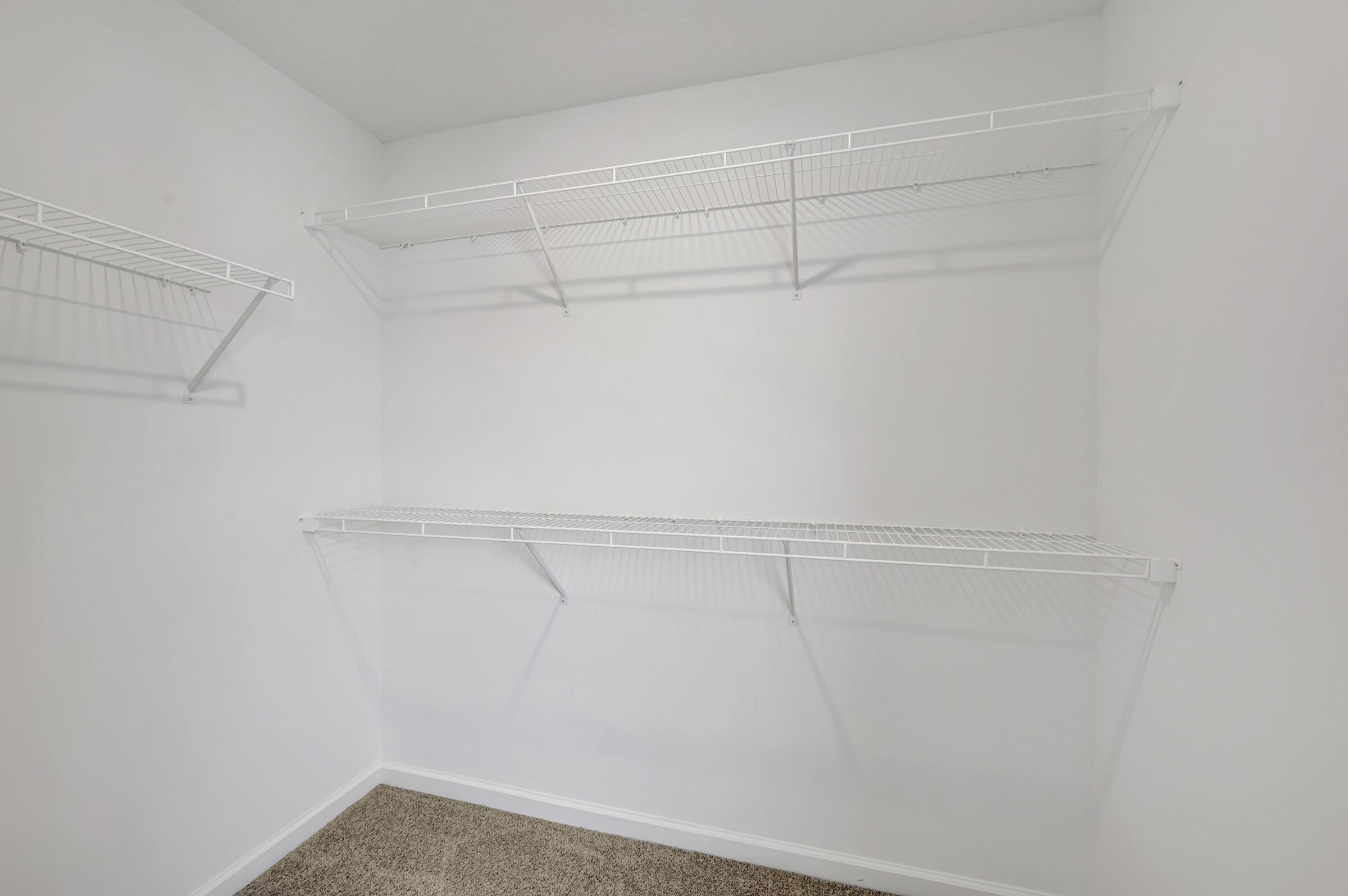 Owner's Closet