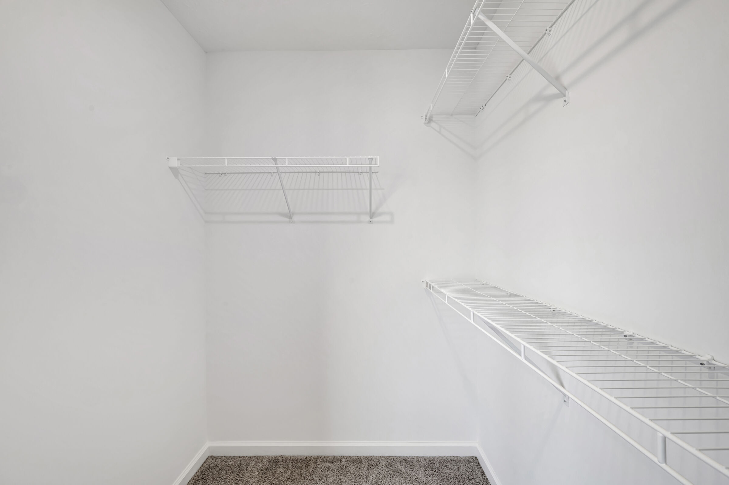 Owner's Closet
