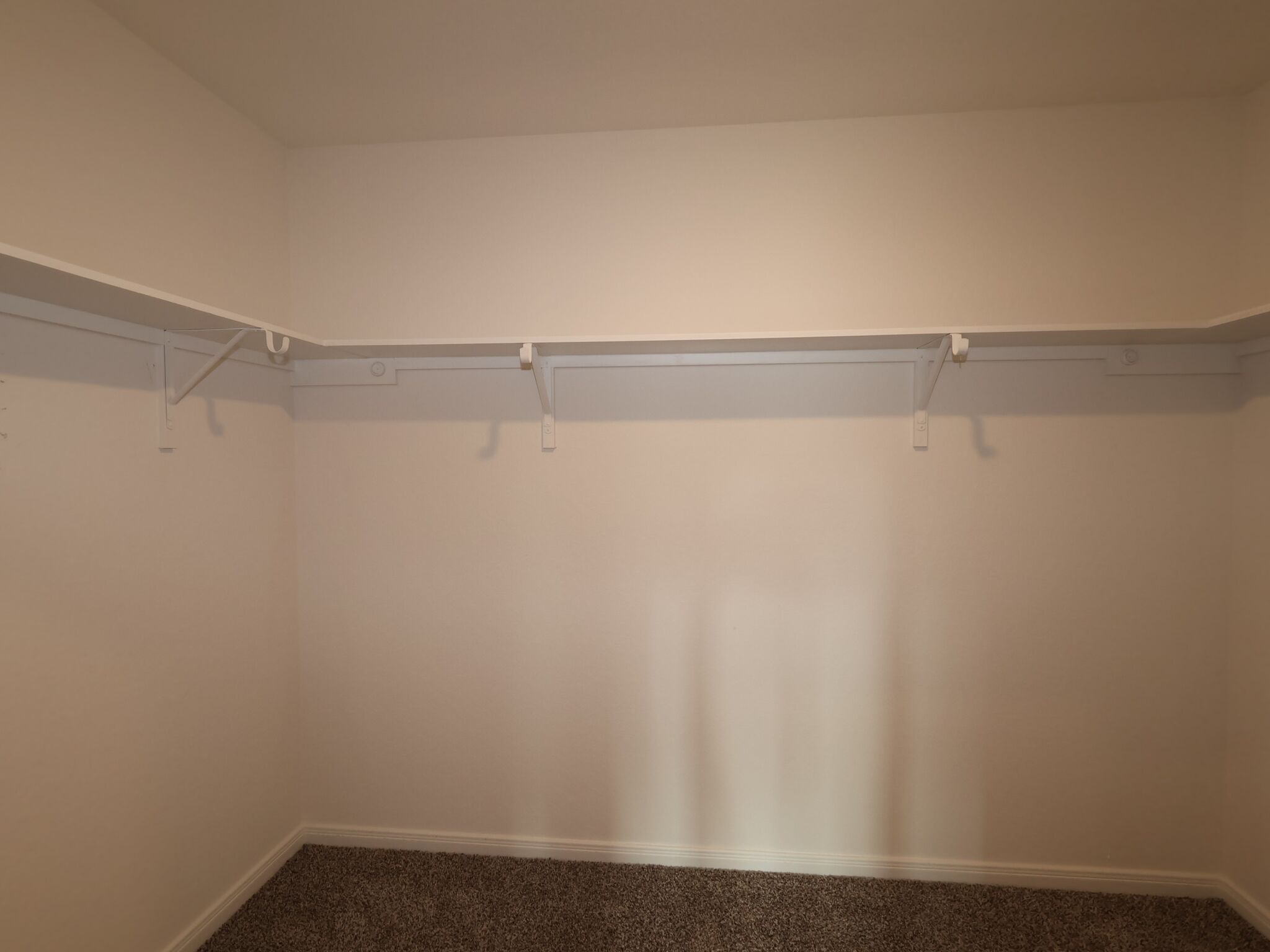 Owner's Closet