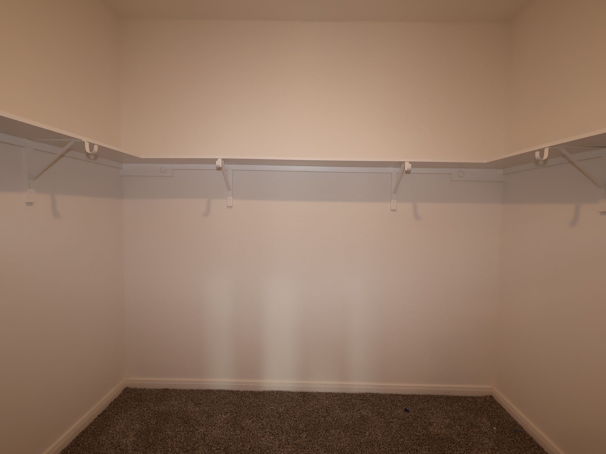 Owner's Closet