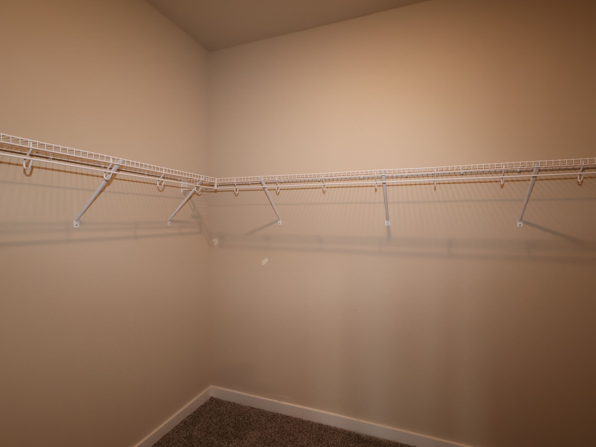 Owner's Closet