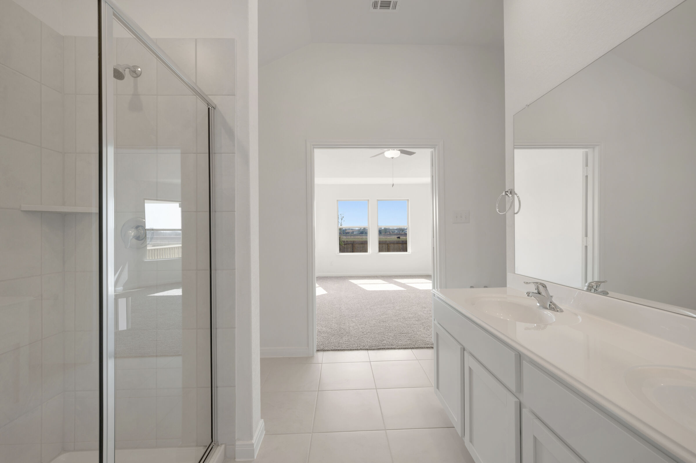 Owner's Bathroom
