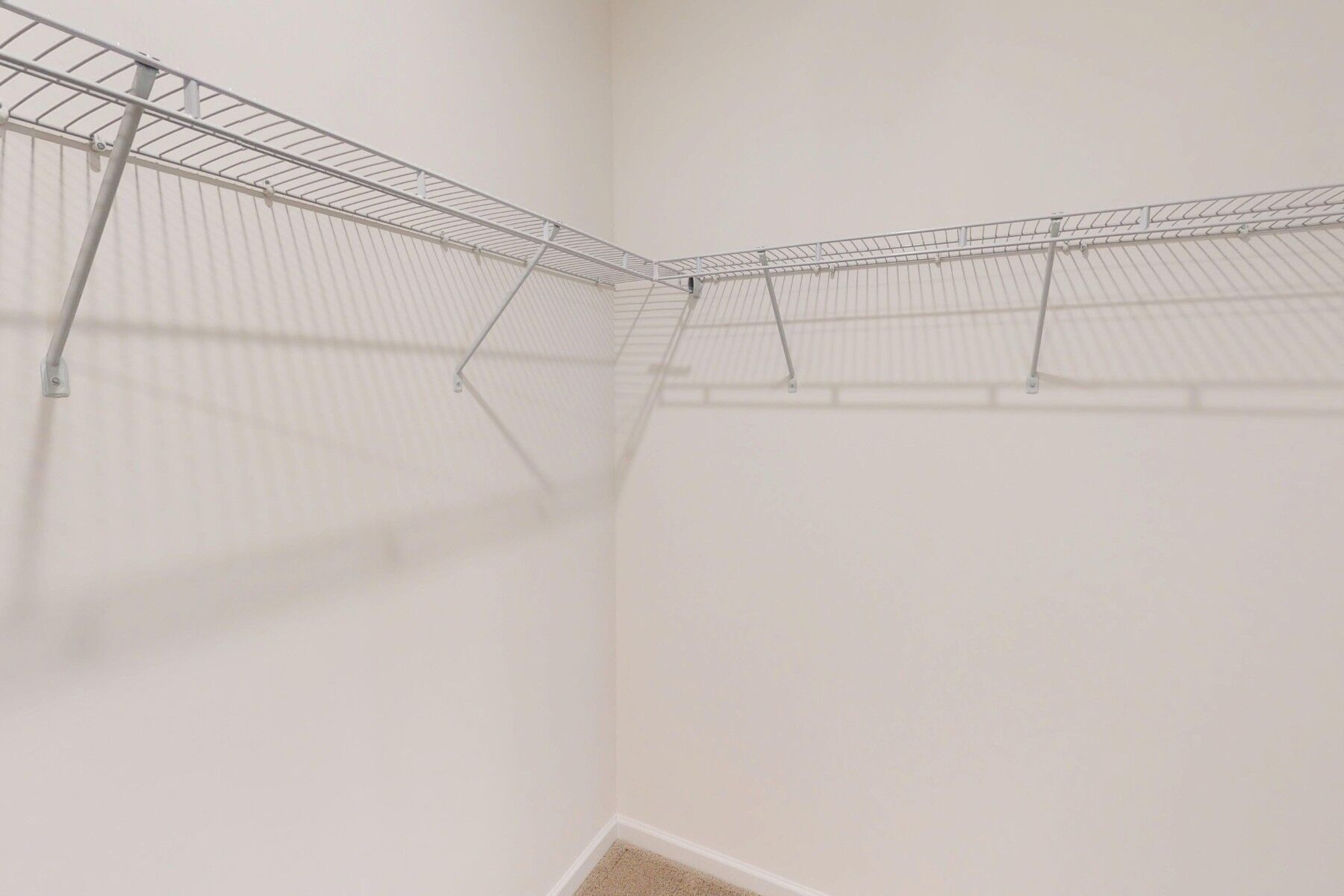 Owner's Closet
