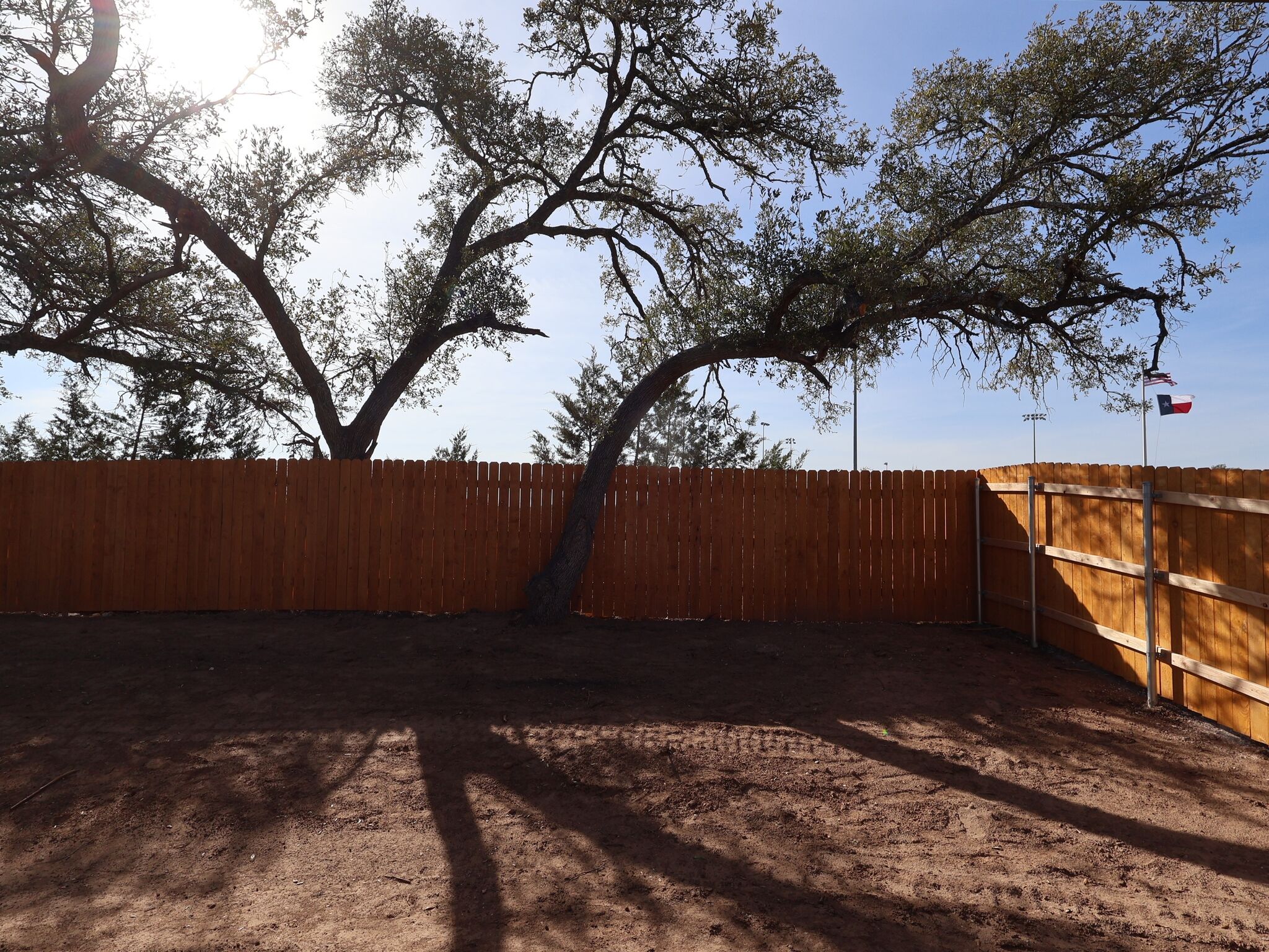 Backyard