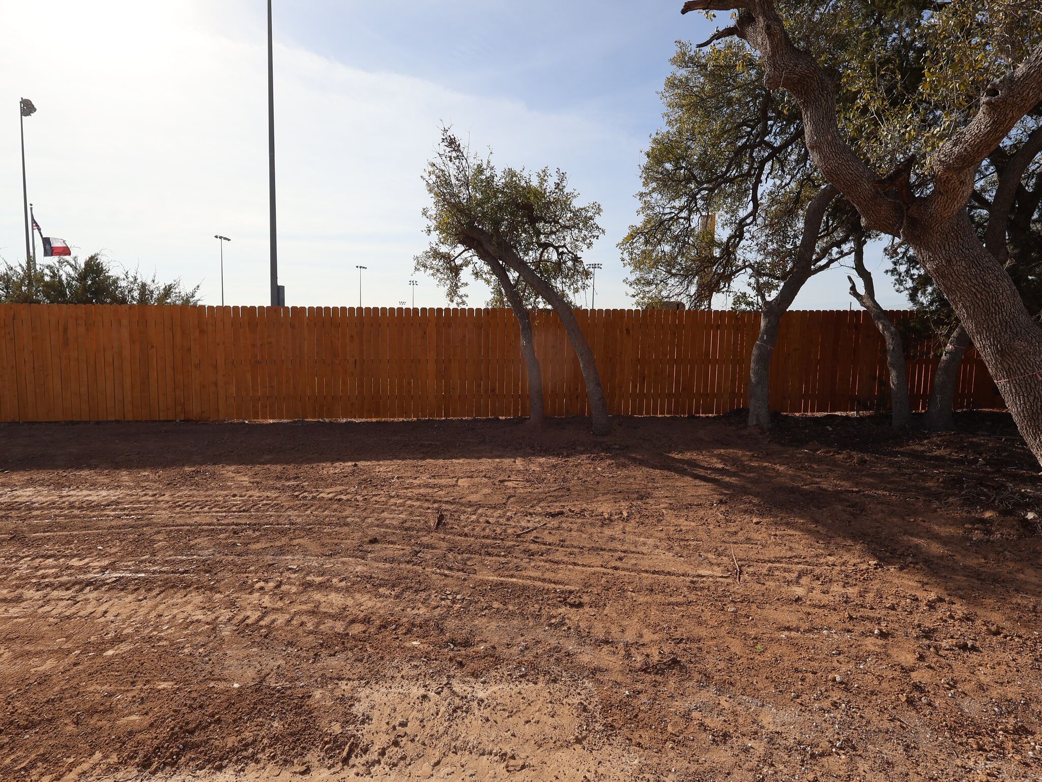 Backyard
