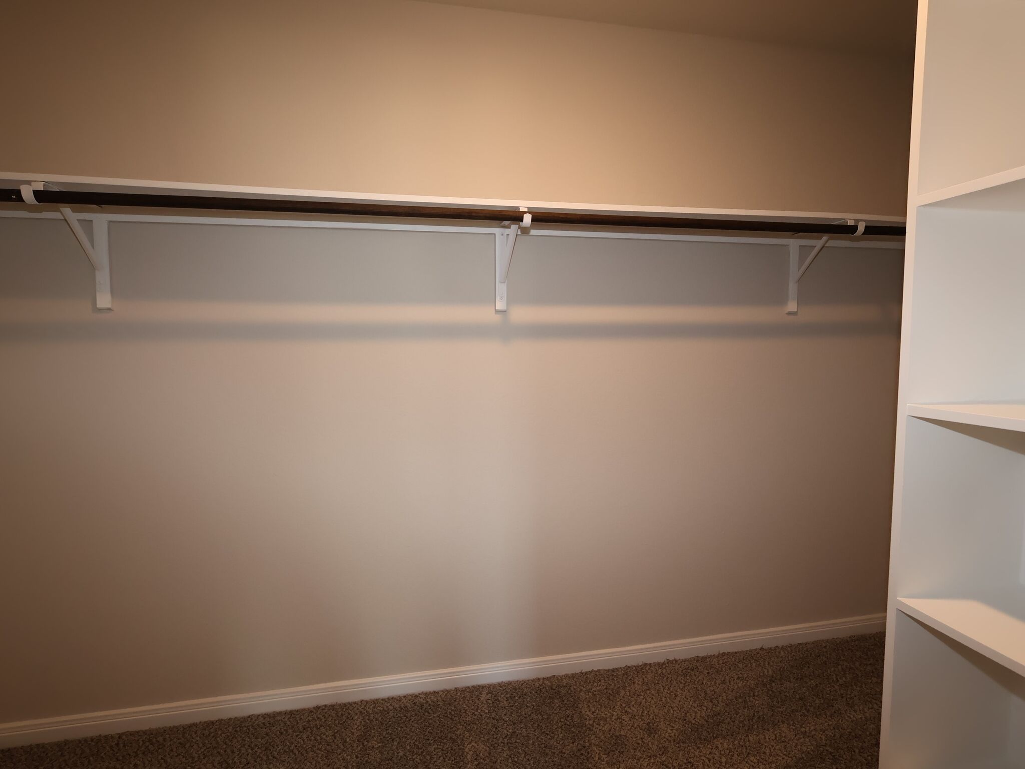 Owner's Closet
