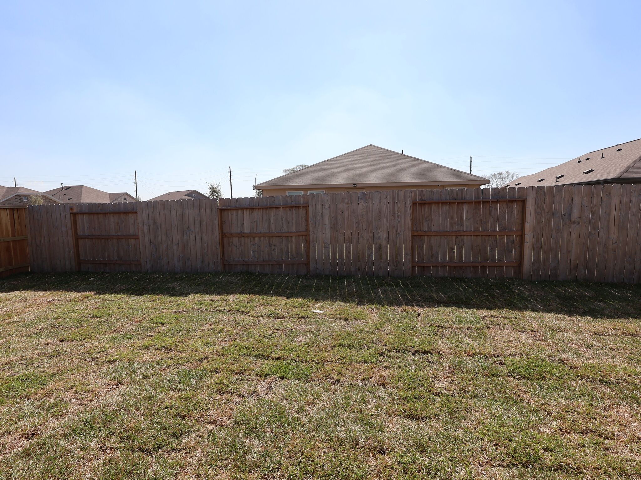 Backyard