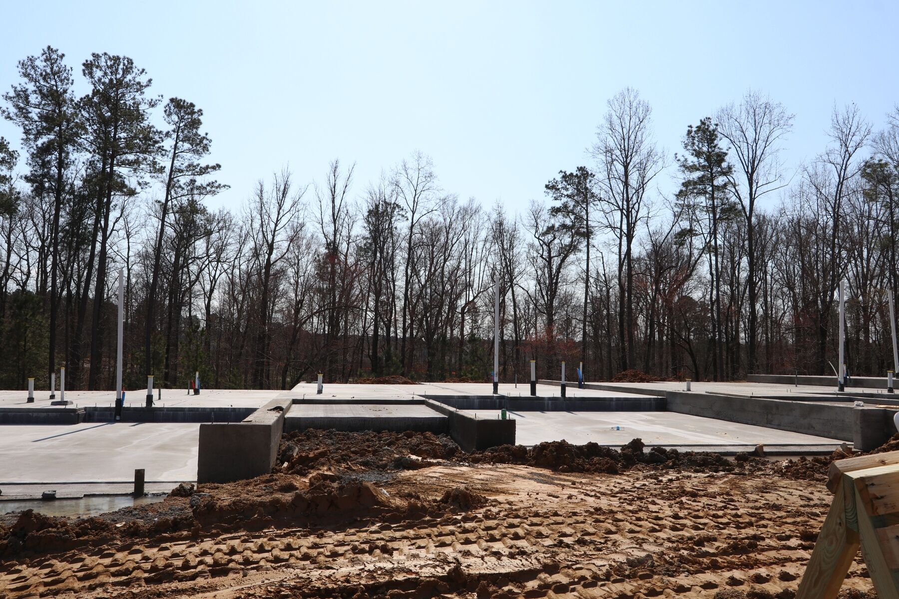 Homesite