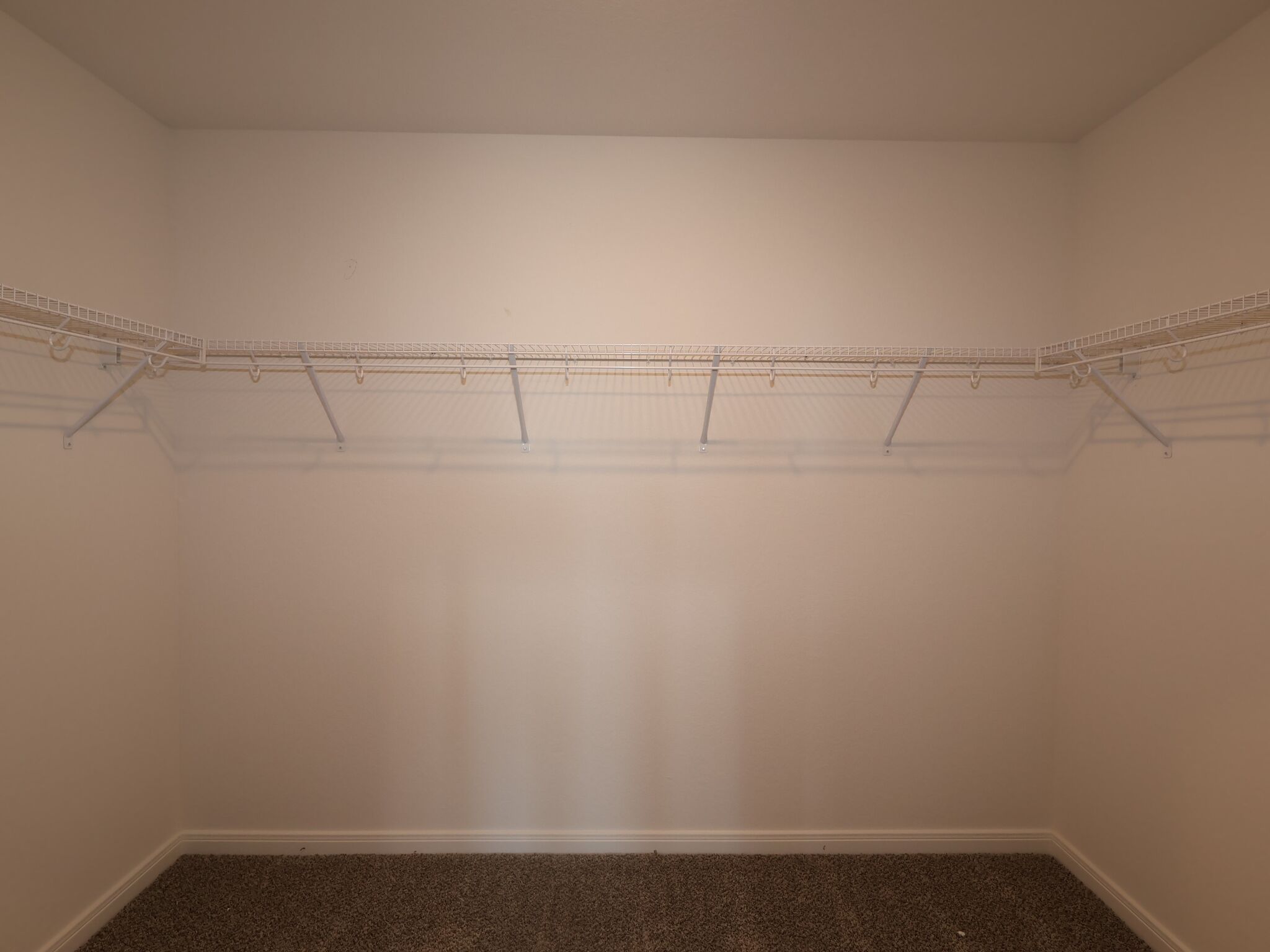 Owner's Closet