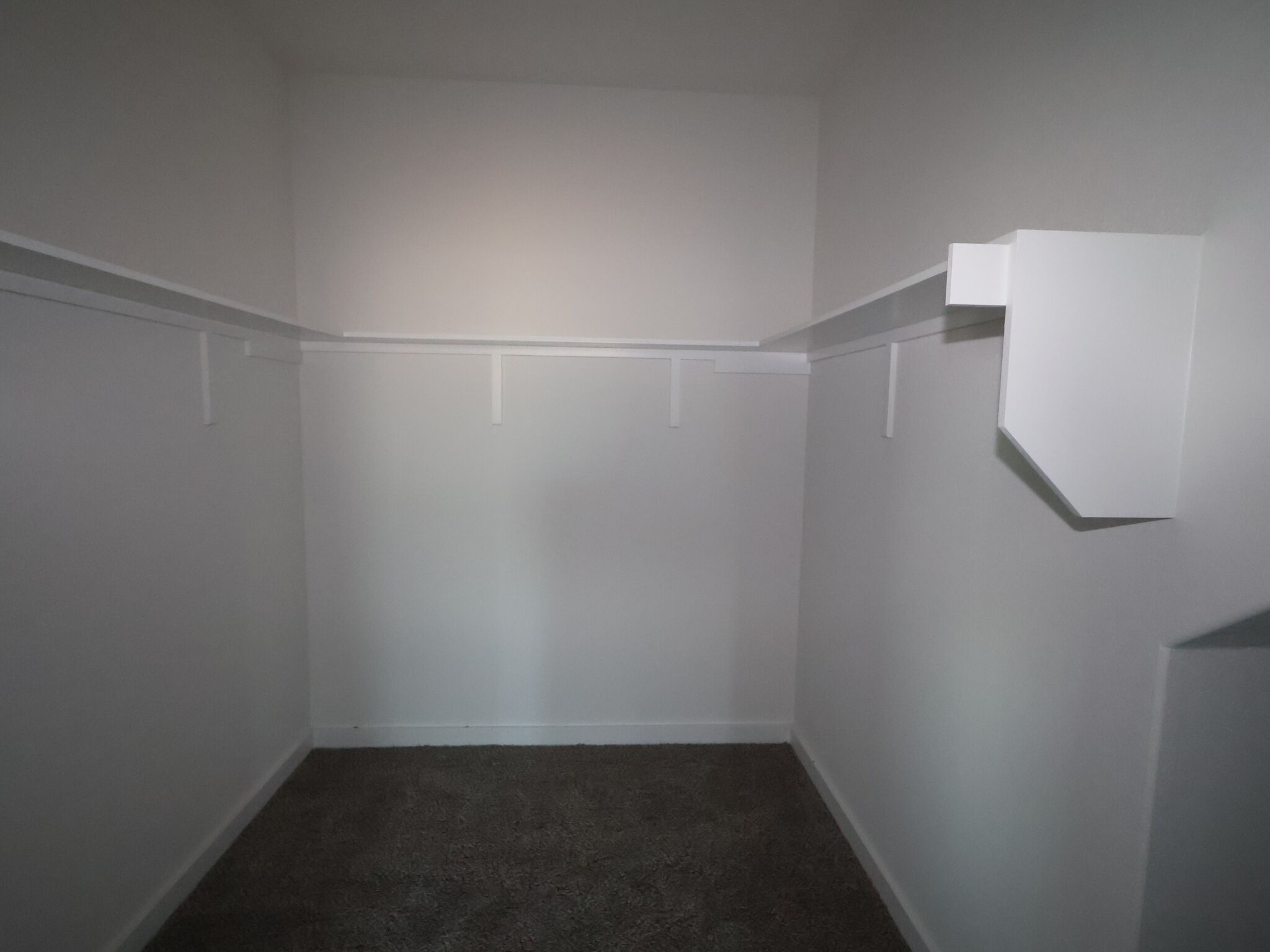 Owner's Closet