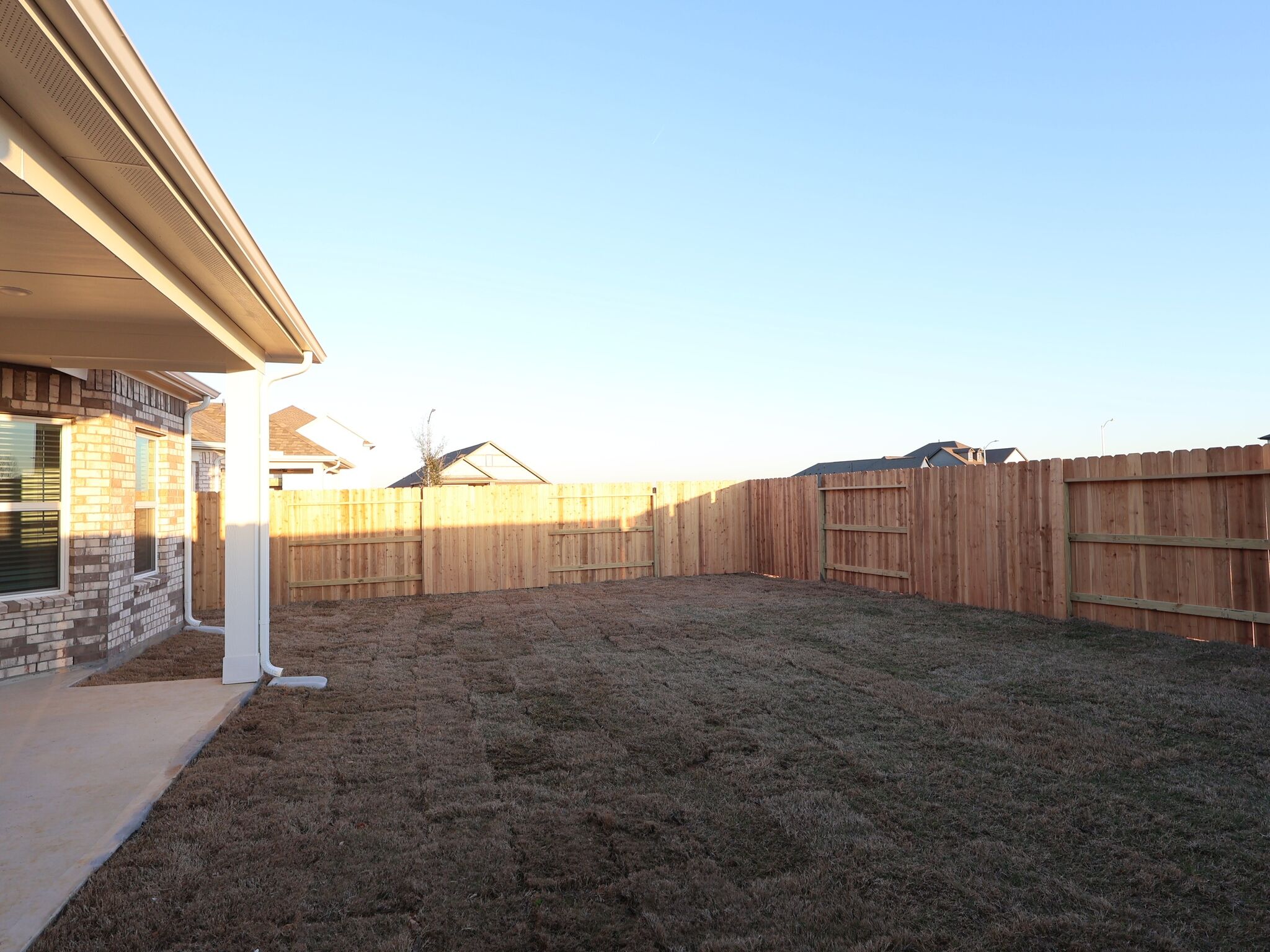 Backyard