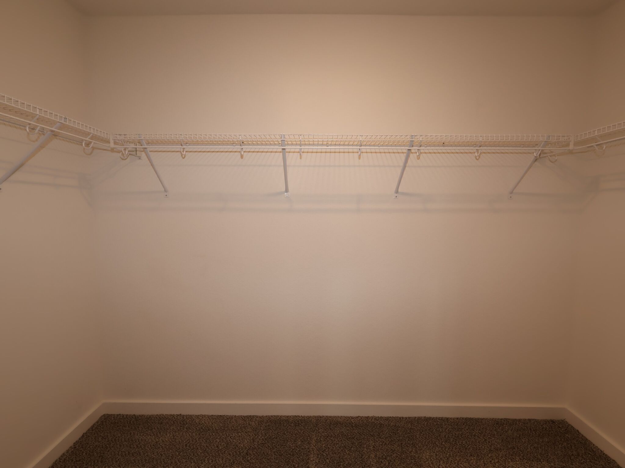 Owner's Closet