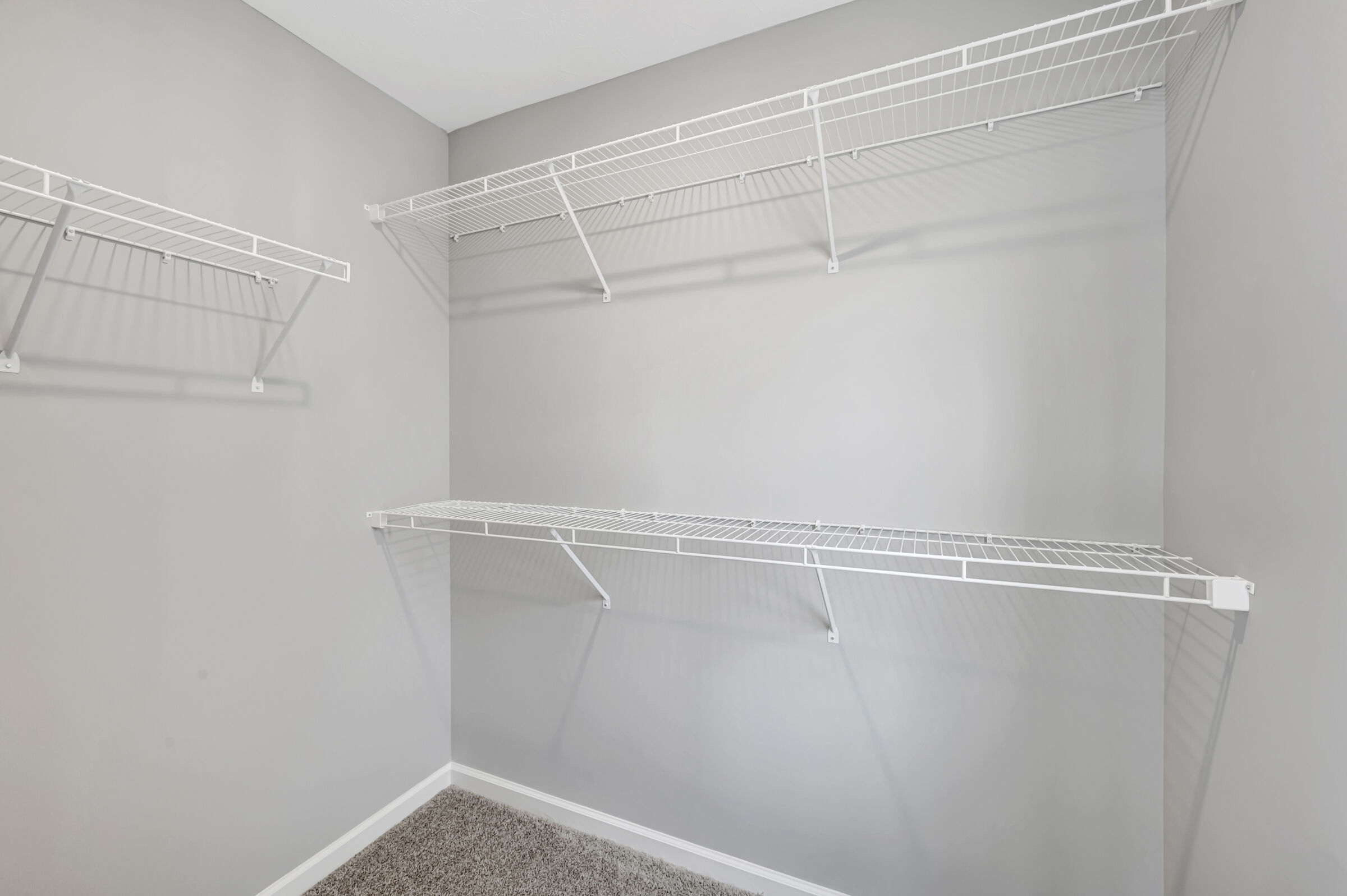 Owner's Closet