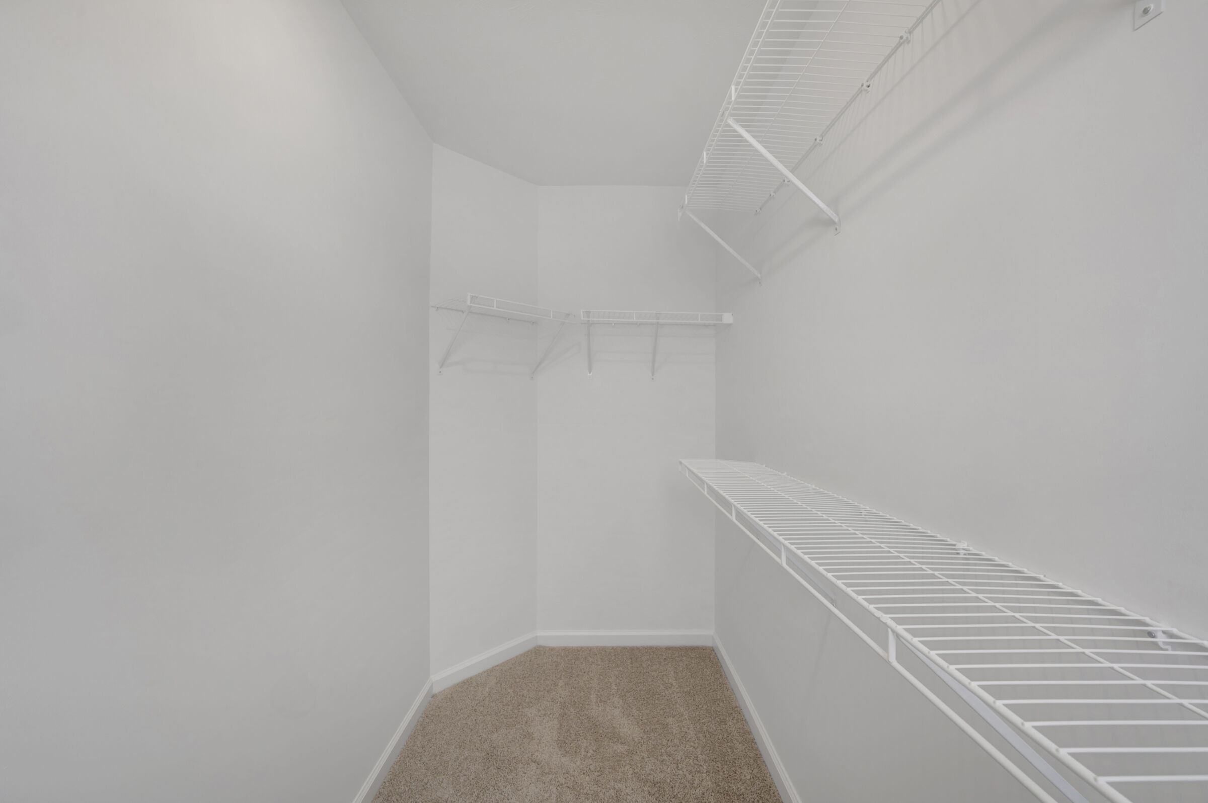 Owner's Closet