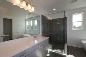 Owner's Bathroom