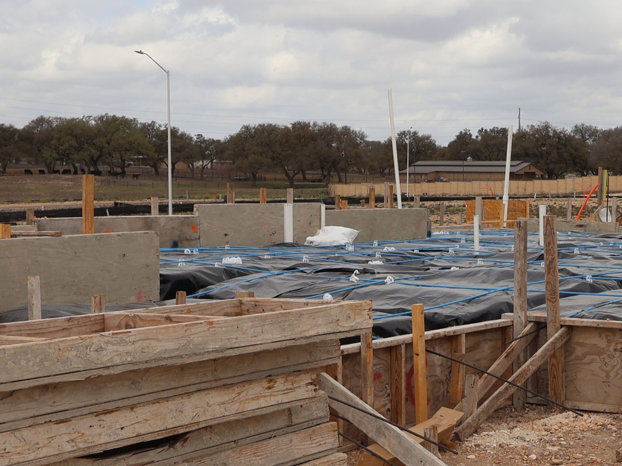 Homesite