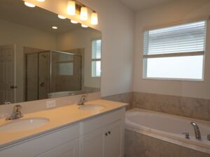 Owner's Bathroom