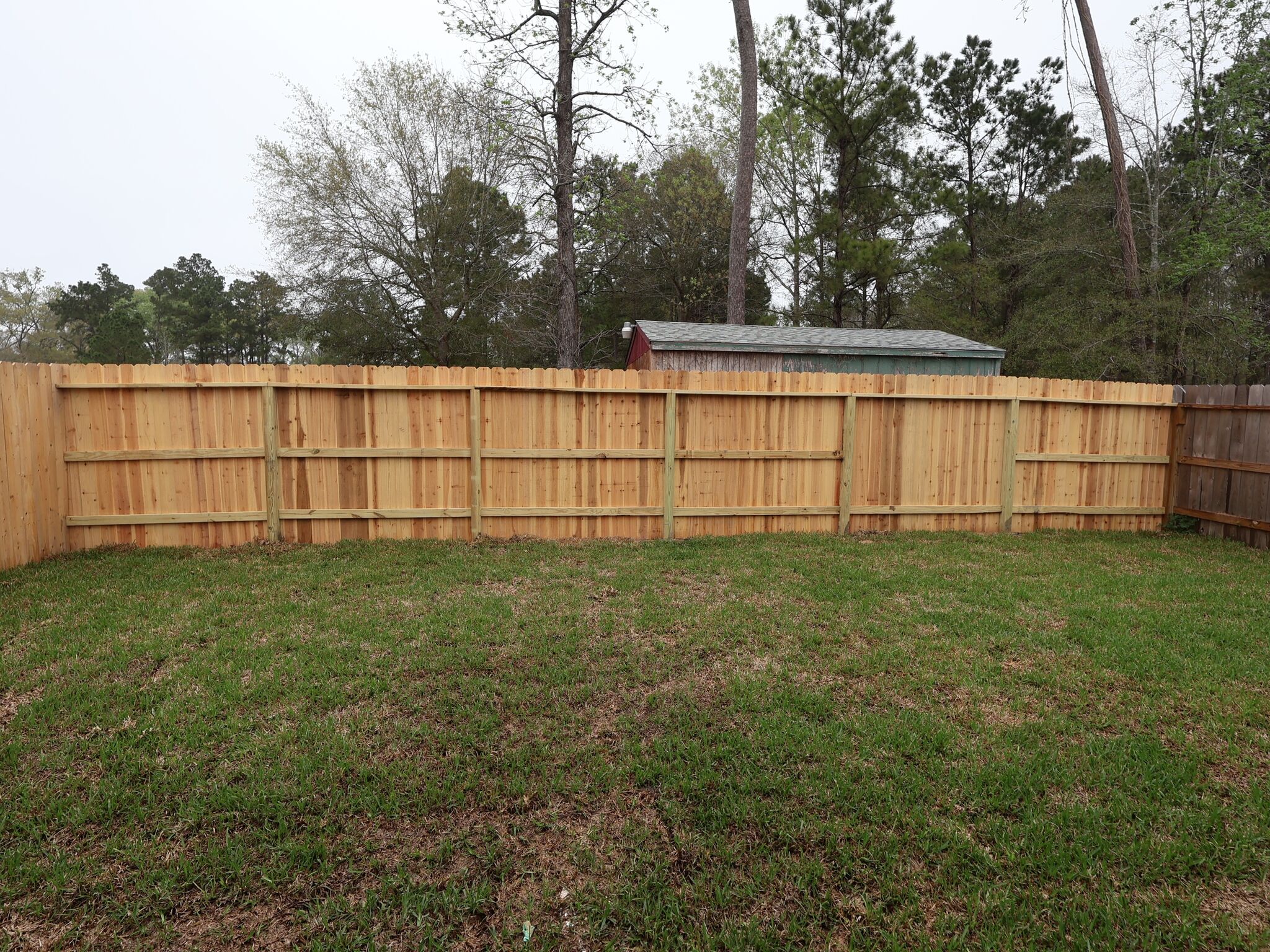 Backyard
