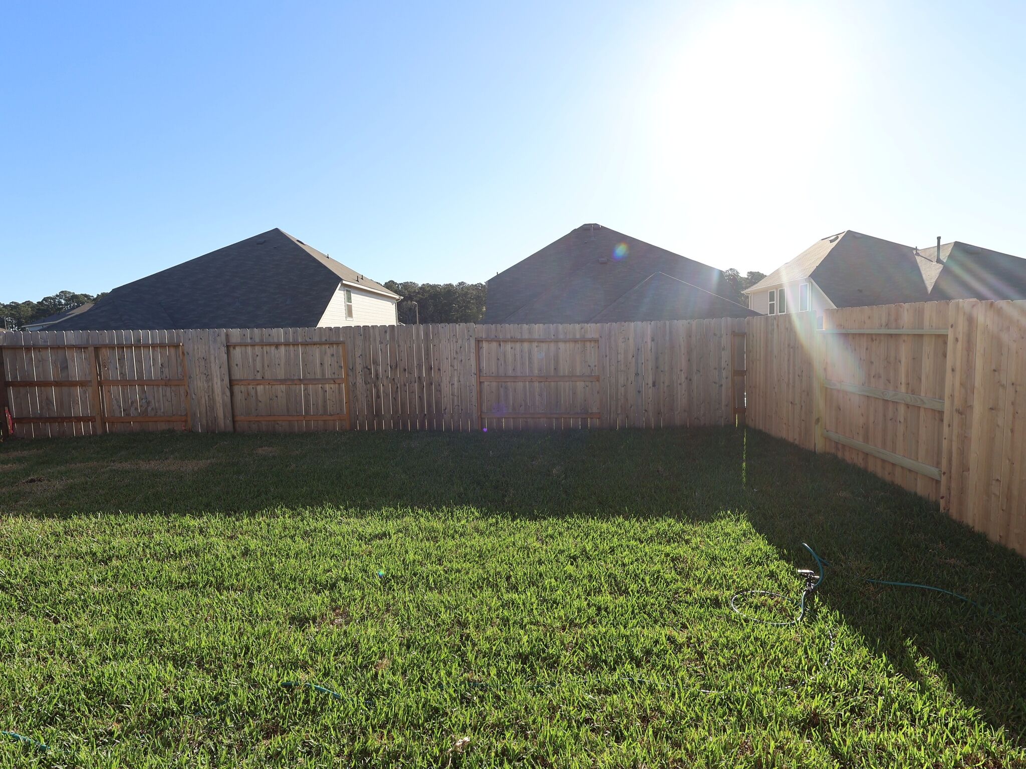 Backyard