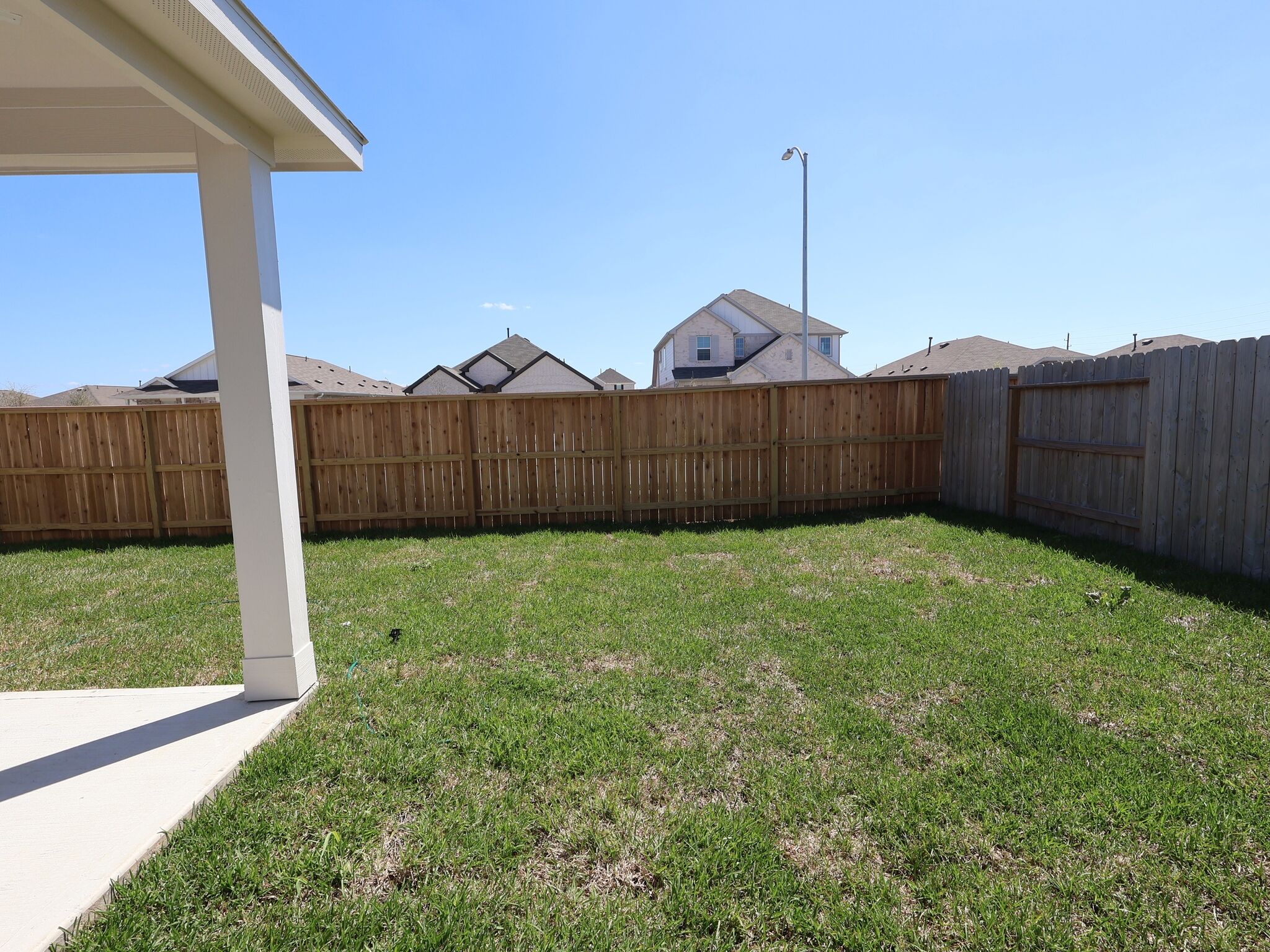 Backyard