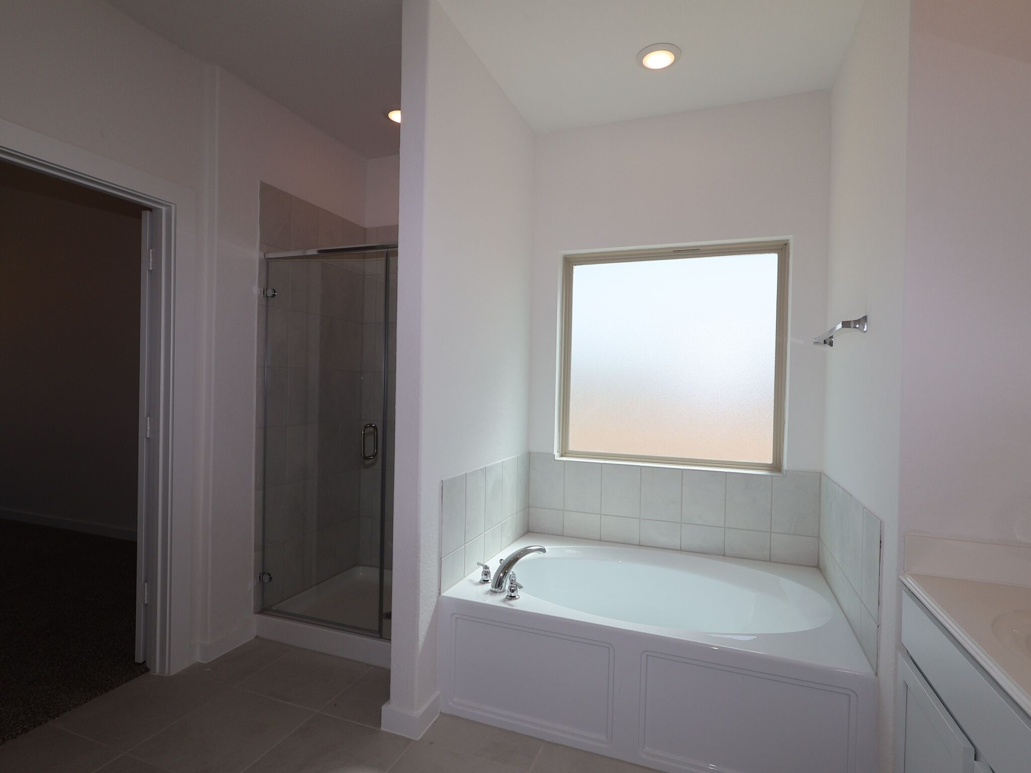Owner's Bathroom