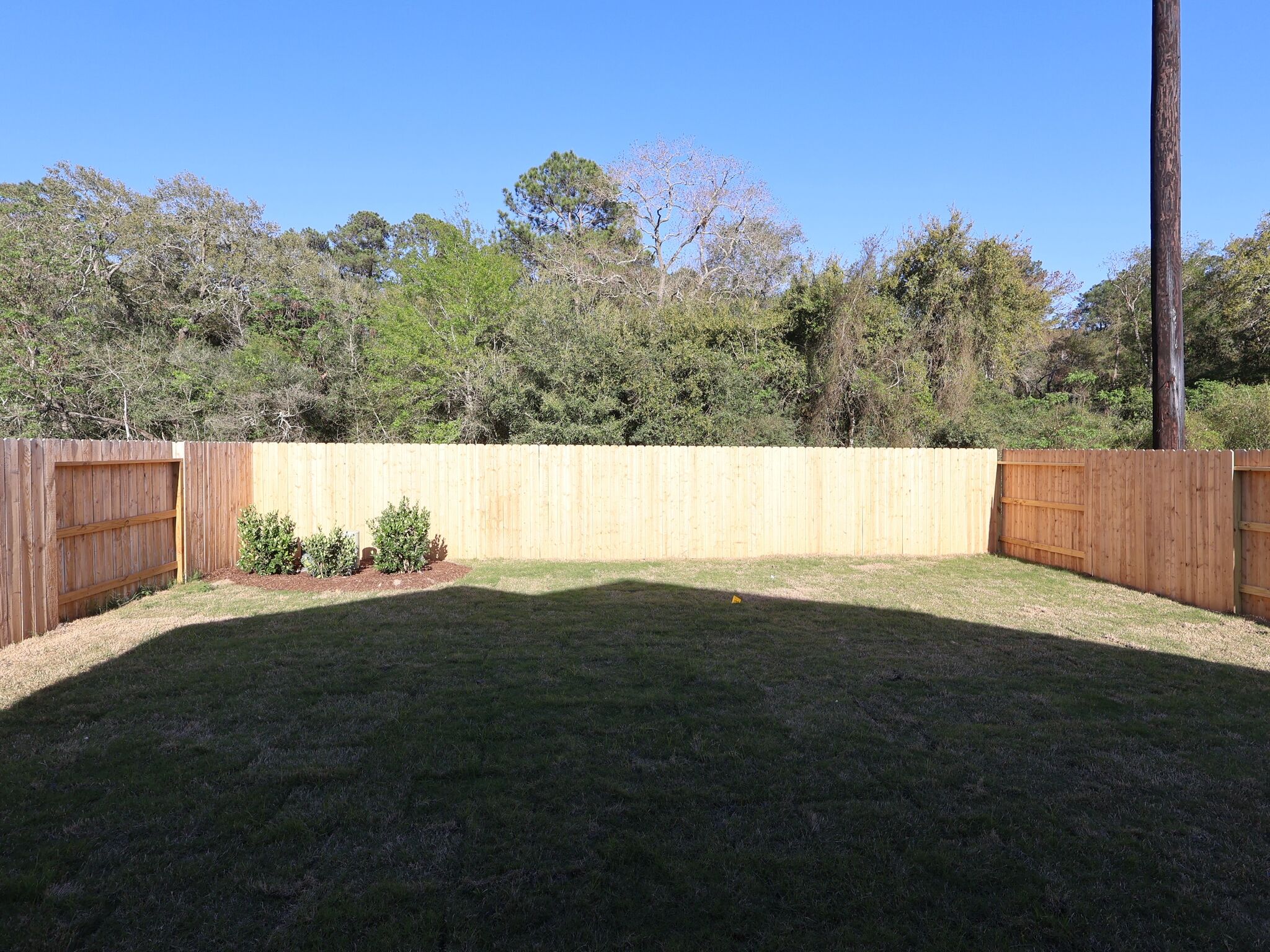 Backyard