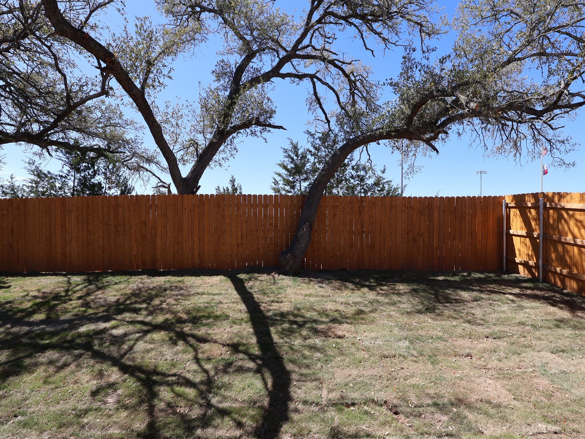 Backyard