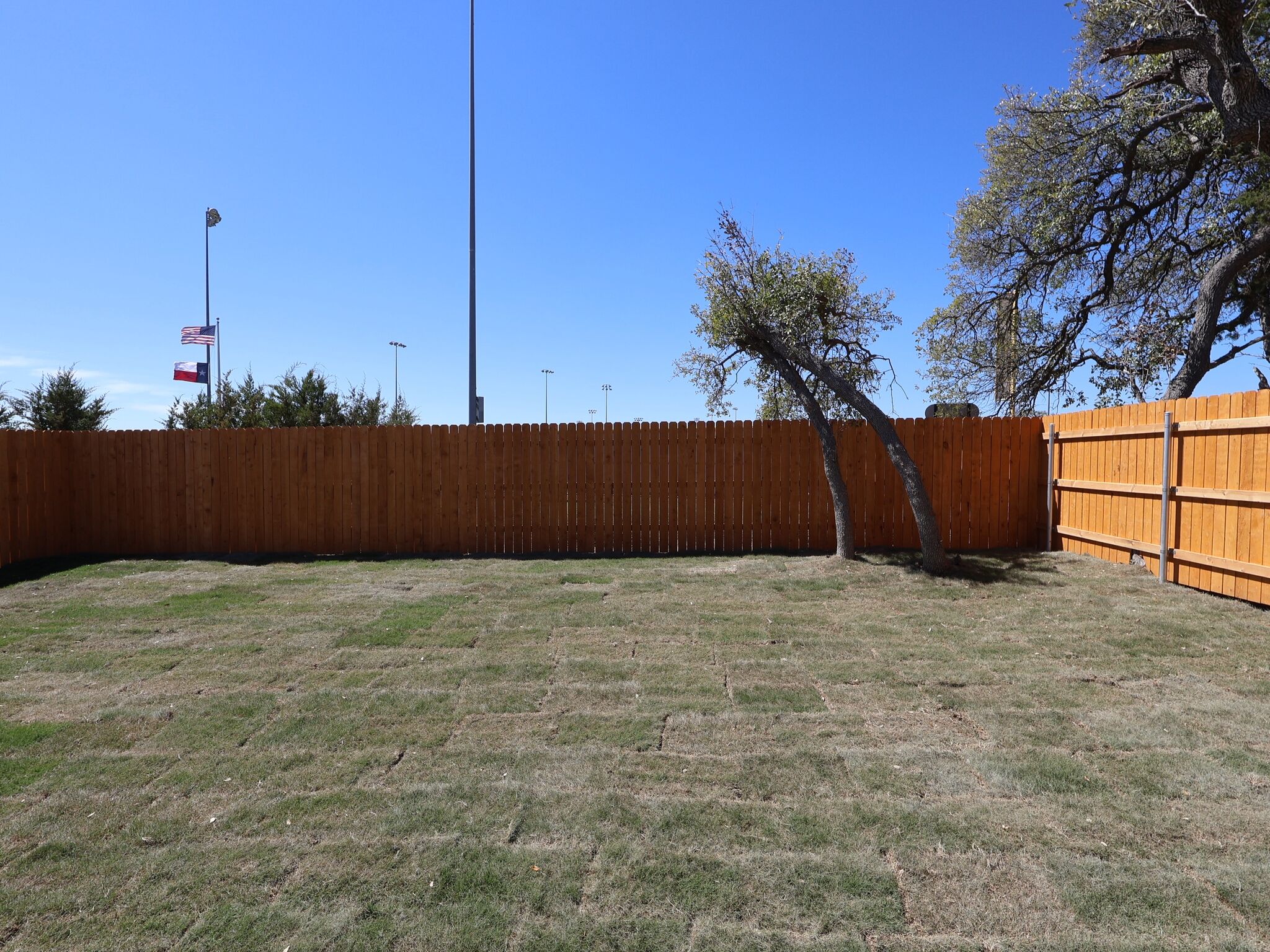 Backyard