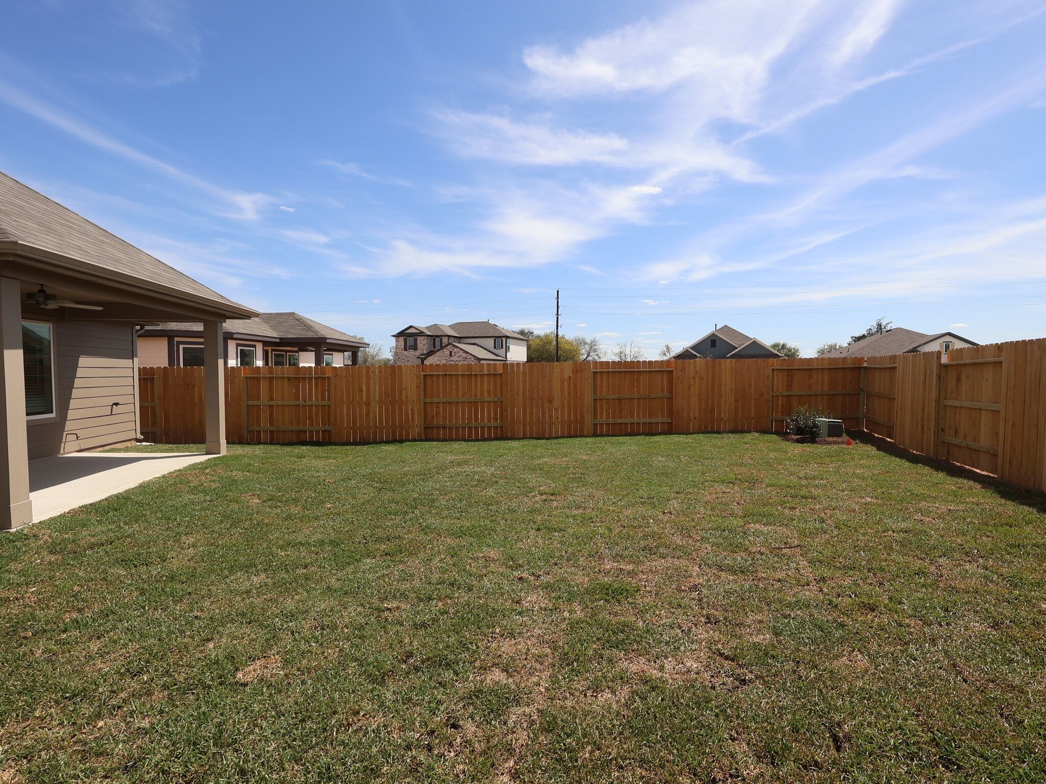 Backyard