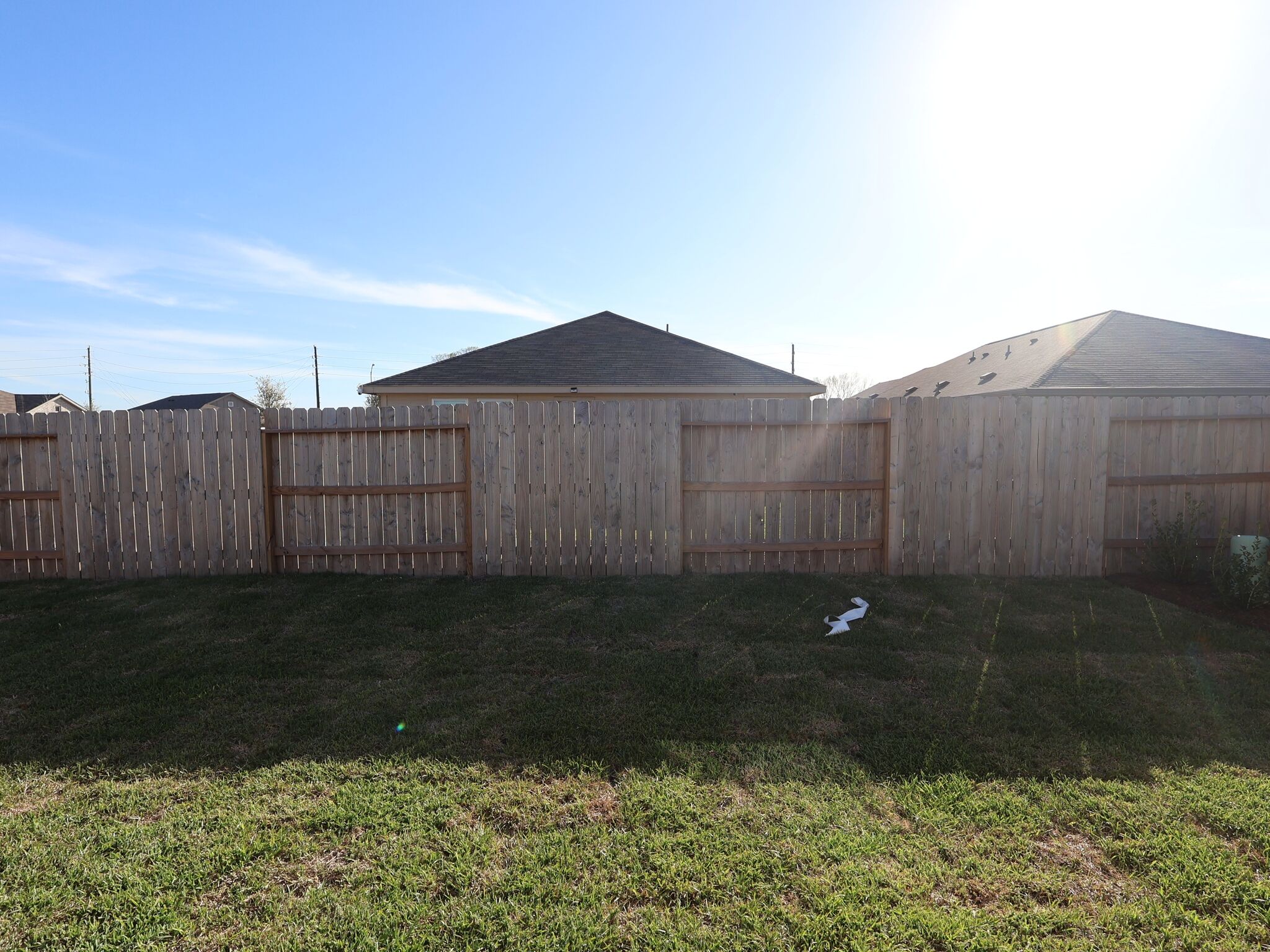 Backyard