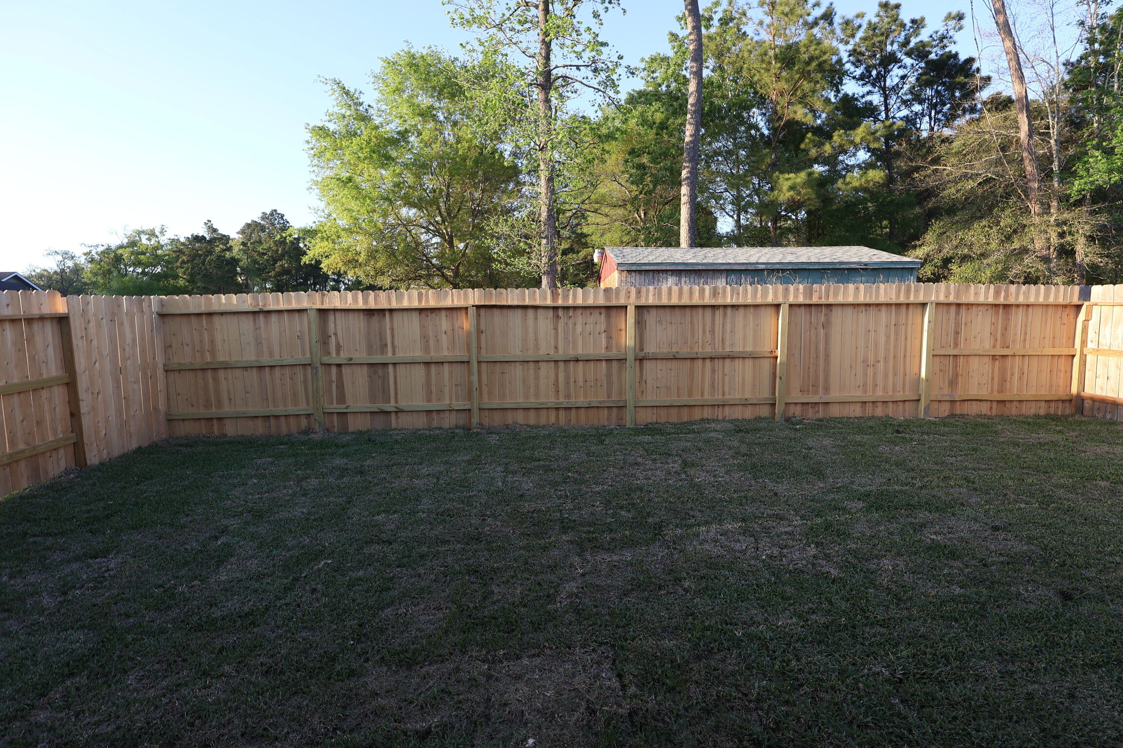 Backyard