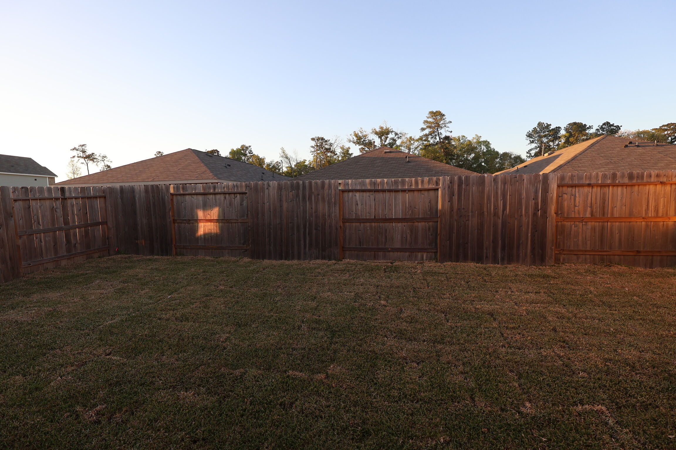 Backyard
