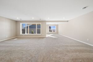 Lower Level Recreation Room