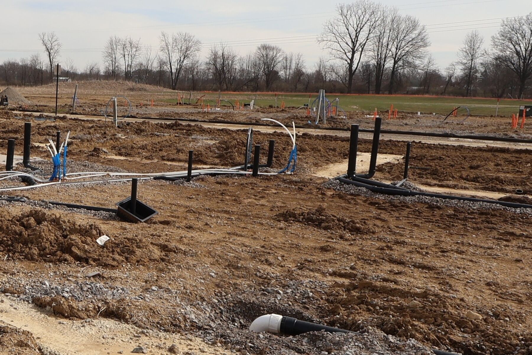 Homesite