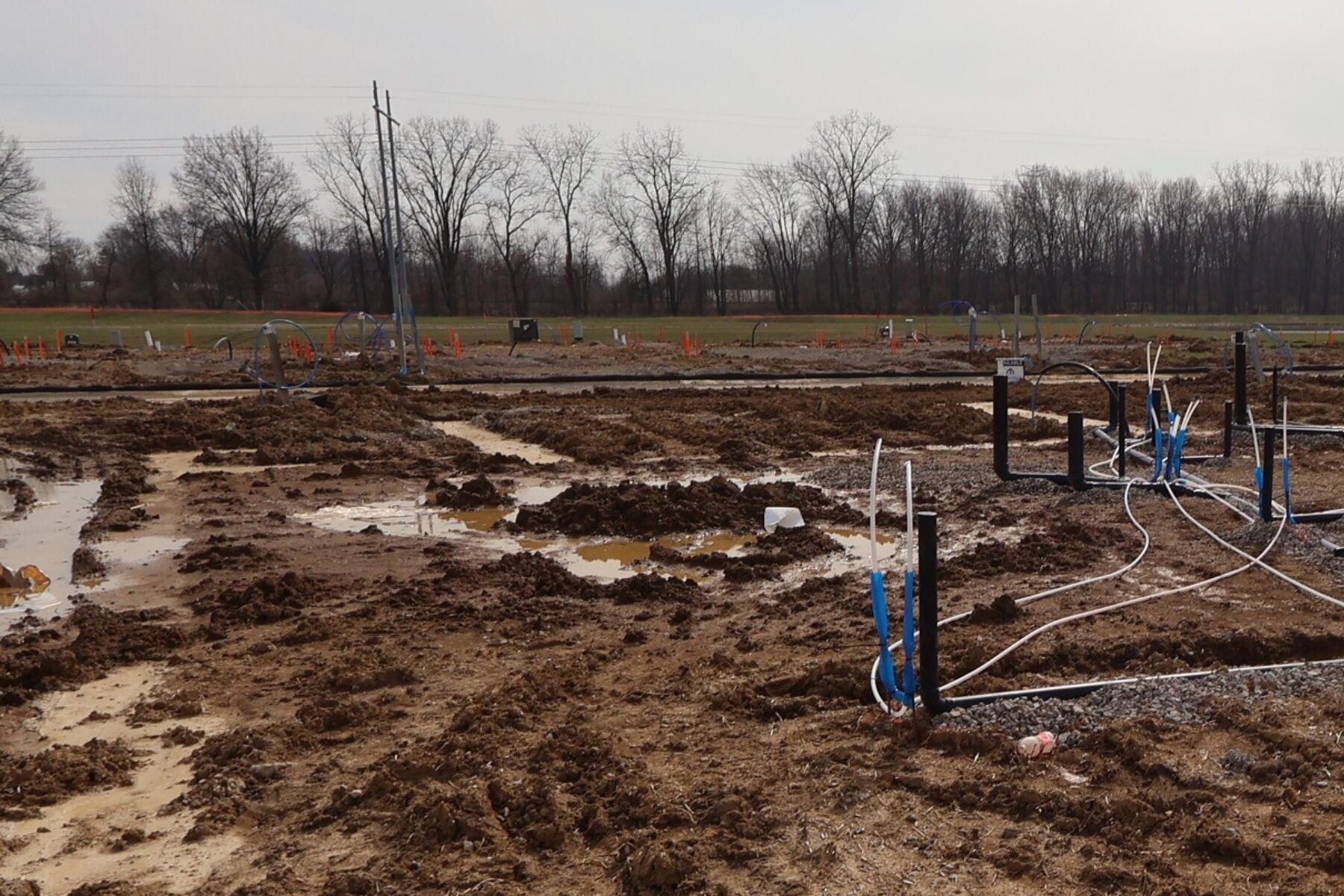 Homesite