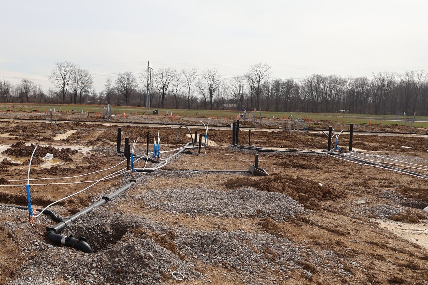 Homesite
