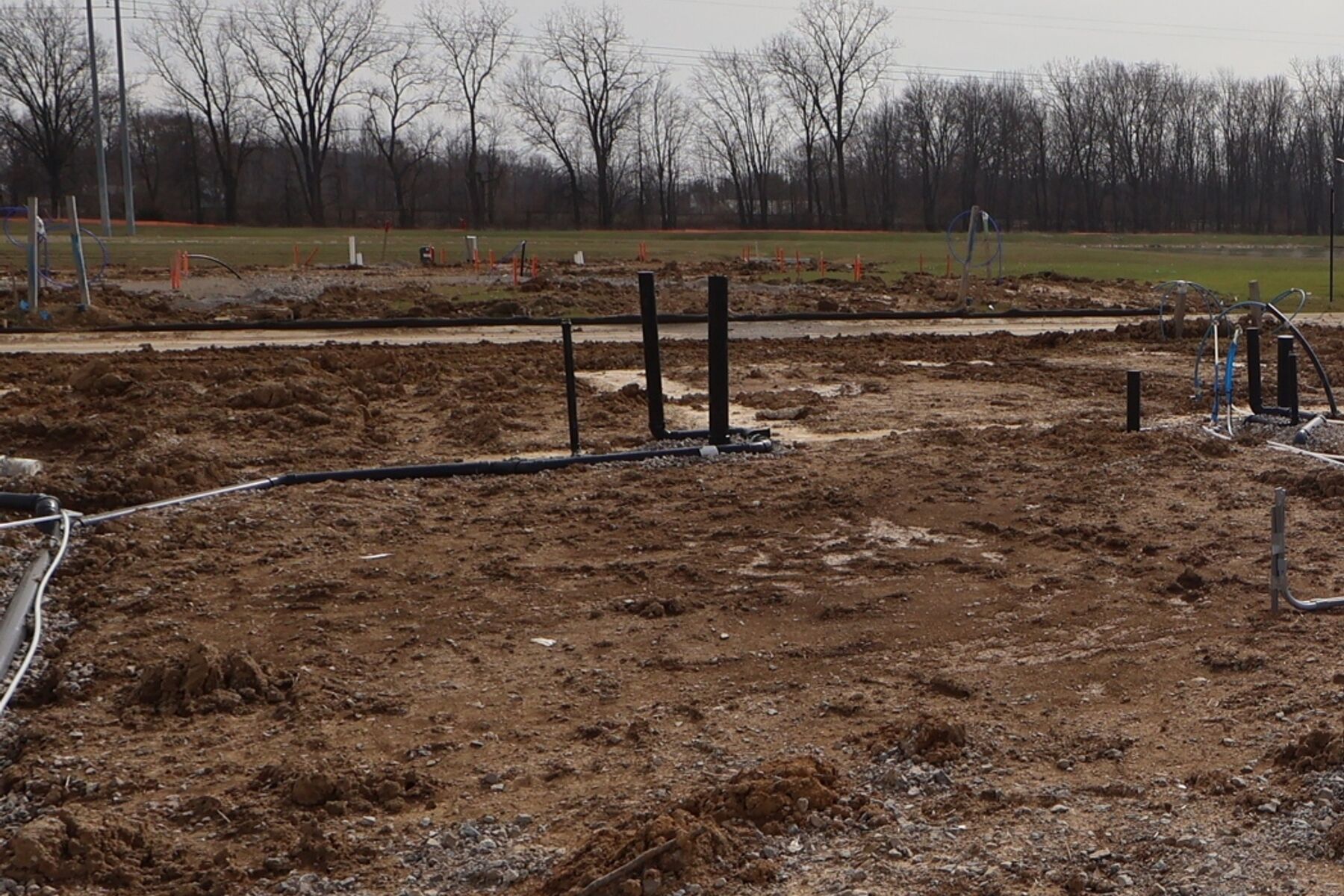 Homesite