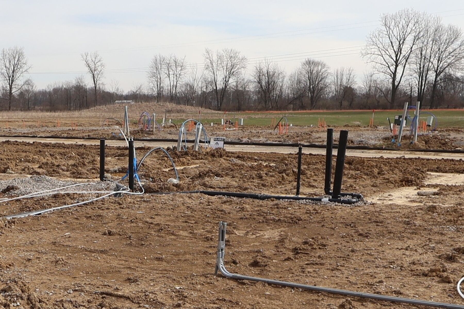 Homesite
