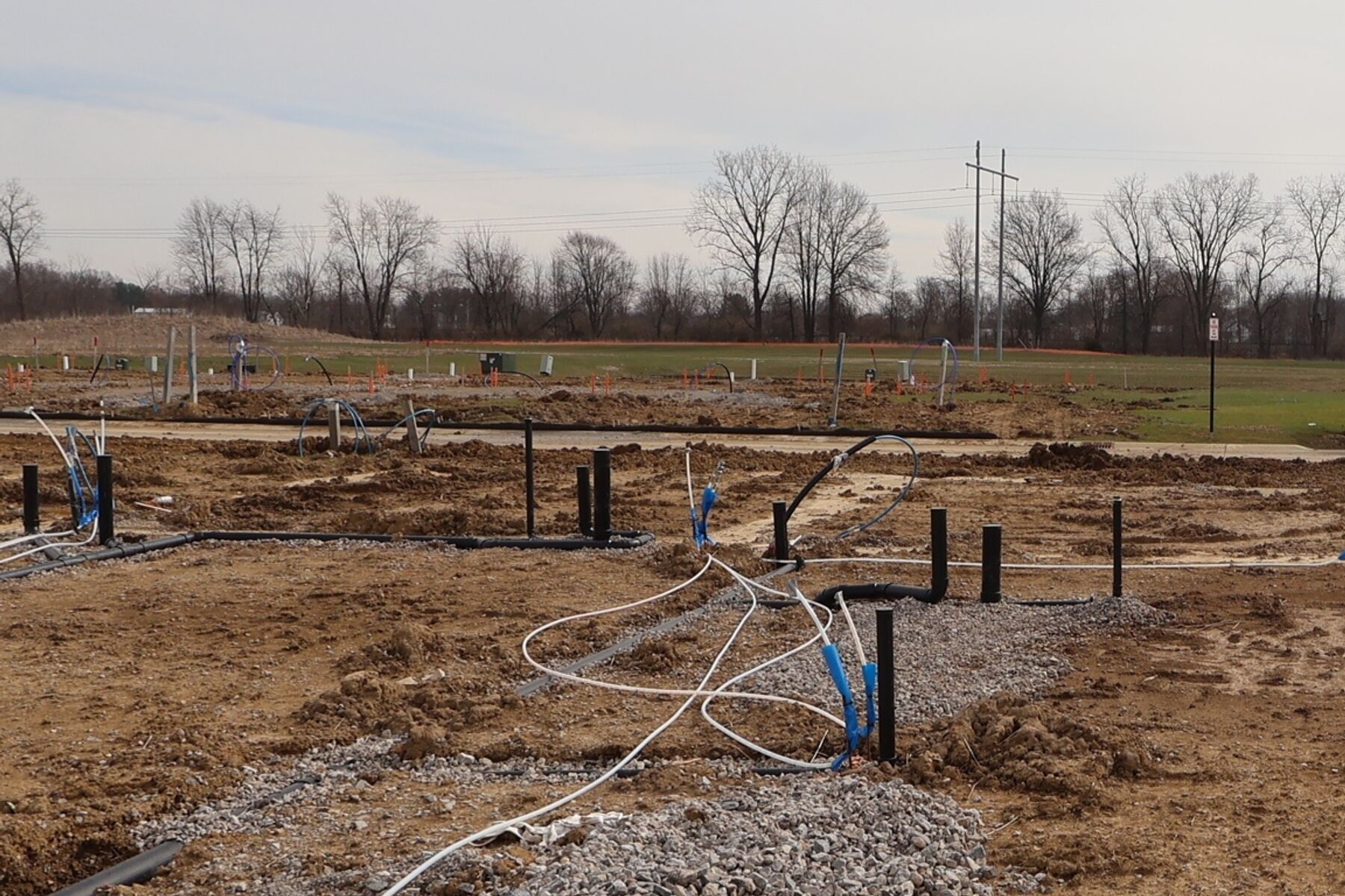 Homesite