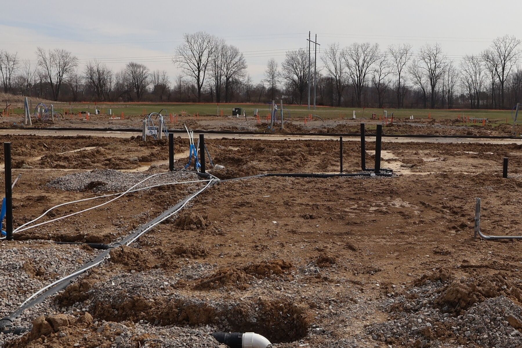 Homesite