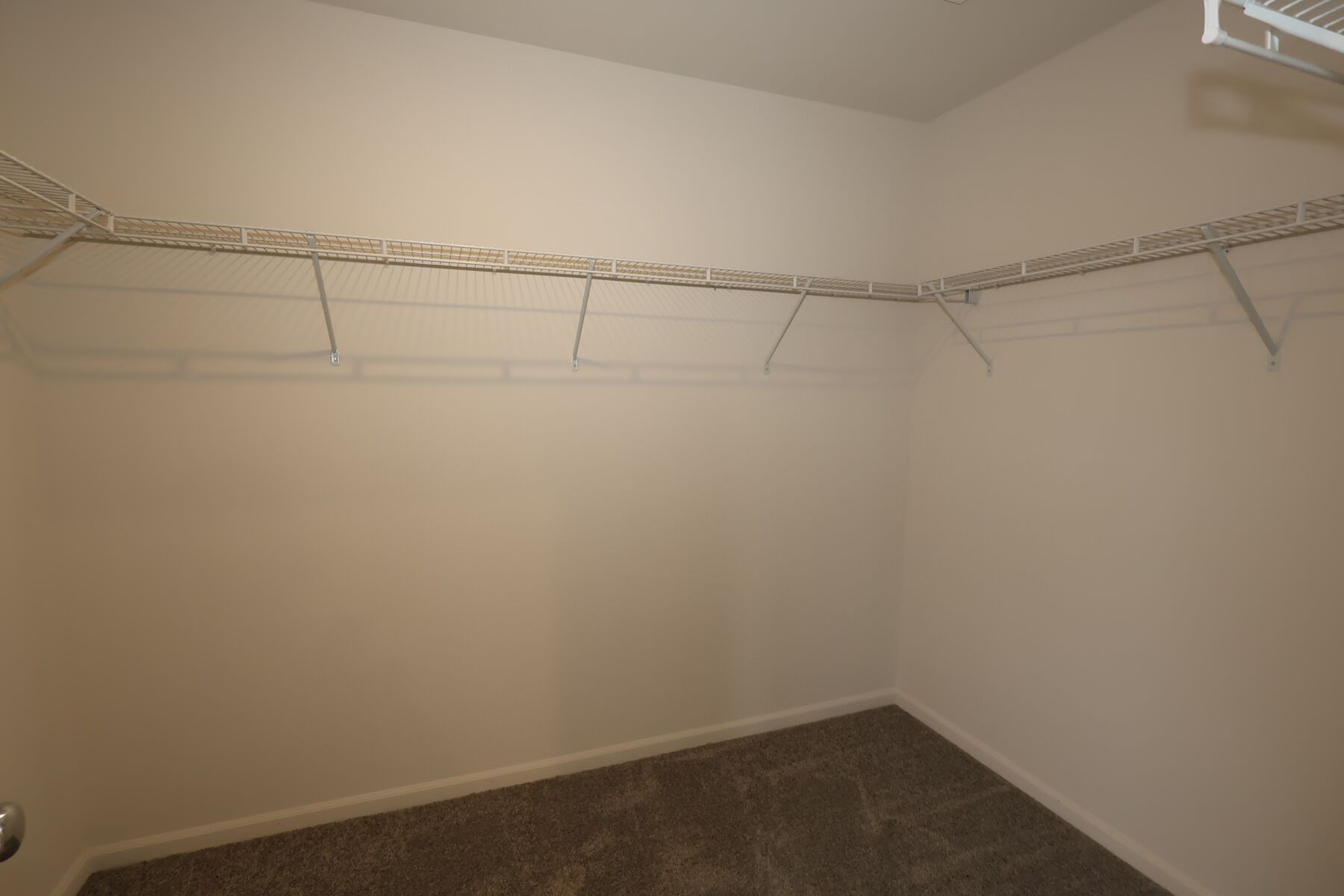 Owner's Closet