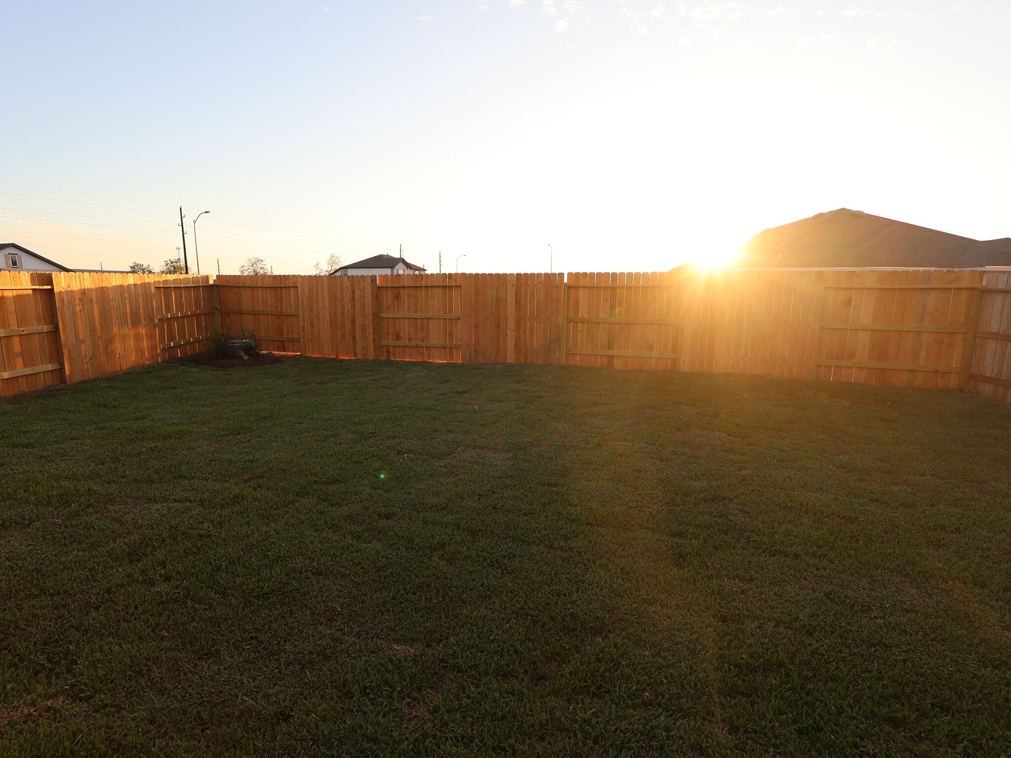 Backyard
