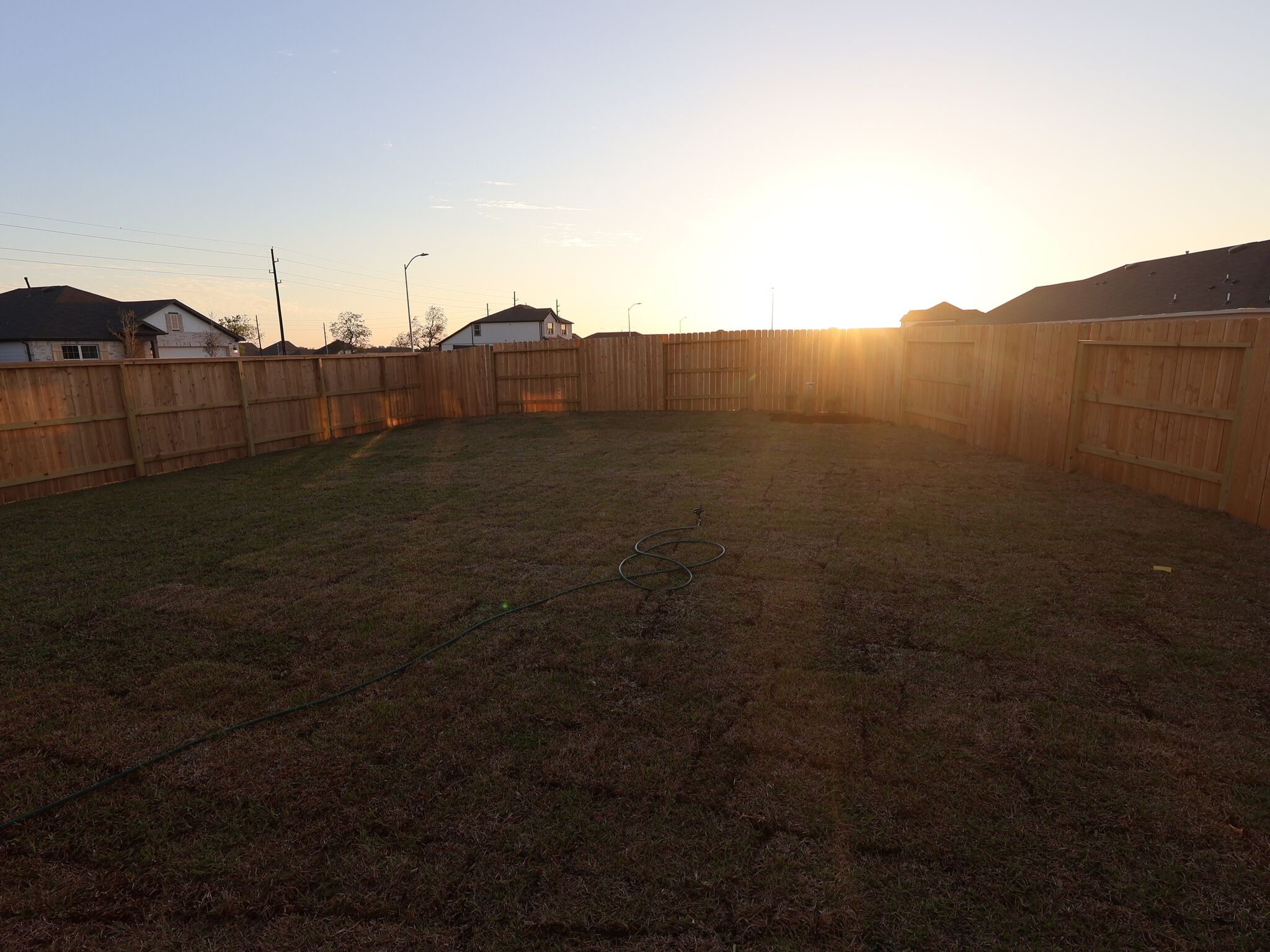 Backyard