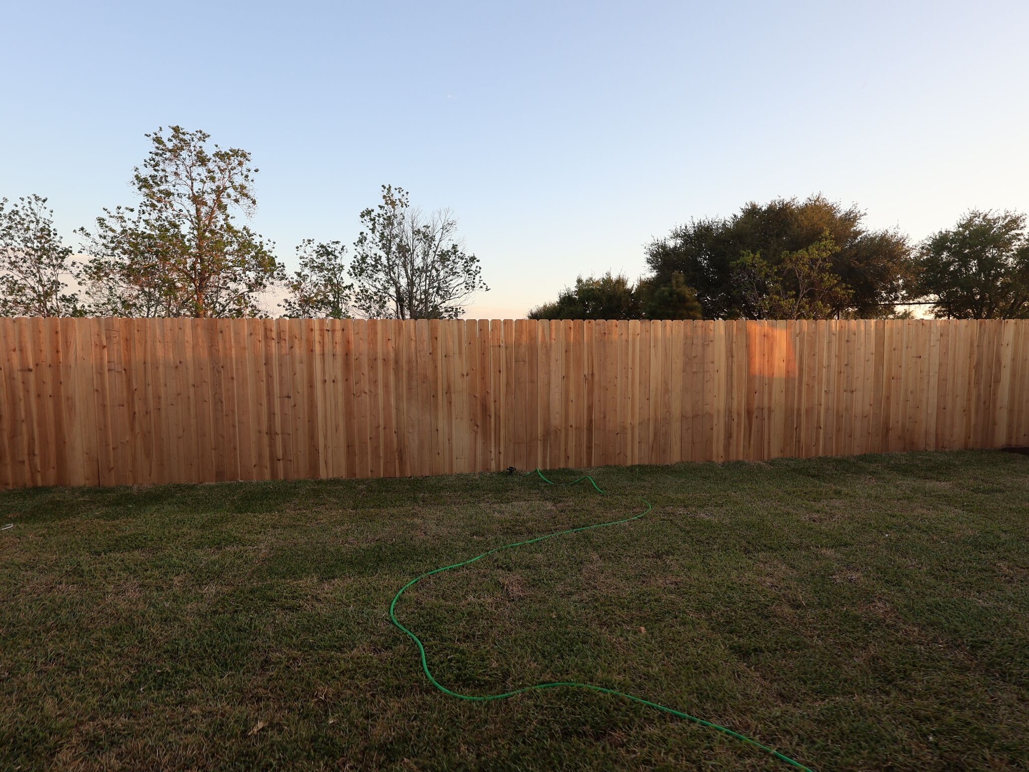 Backyard