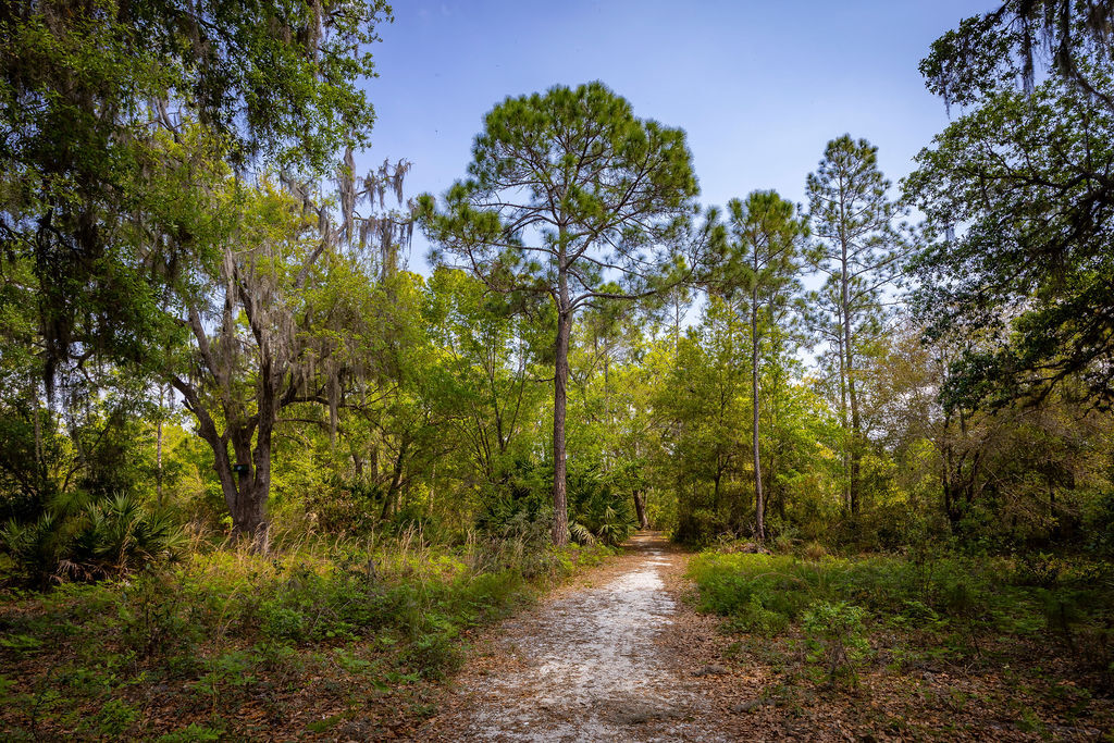 Weslyn Park